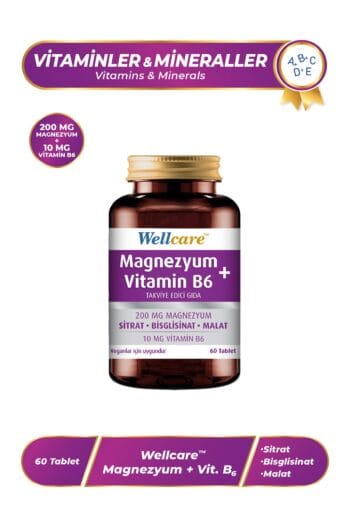 Wellcare Magnezyum Vitamin B6 - 60 Tablet