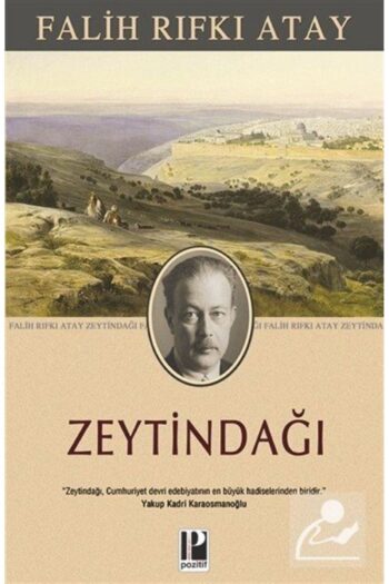 Pozitif Yayınları Zeytindağı