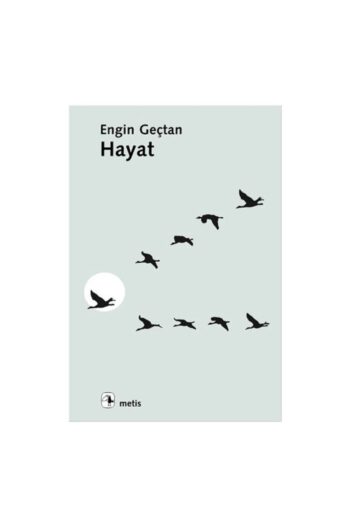 Metis Yayıncılık Hayat Engin Geçtan Metis Yayıncılık