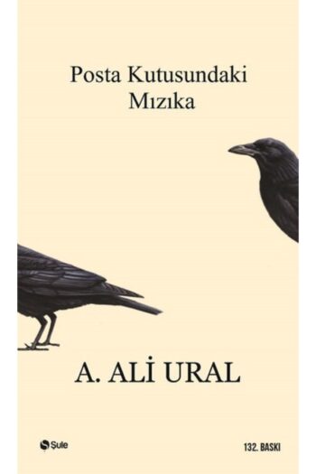 Şule Yayınları Posta Kutusundaki Mızıka