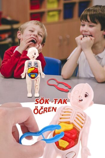 Bundeba Organları Tanıtan Eğitici Bebek Oyuncak Insan Vücudu Maketi Anatomisi Iç Organlar Bulmaca Puzzle