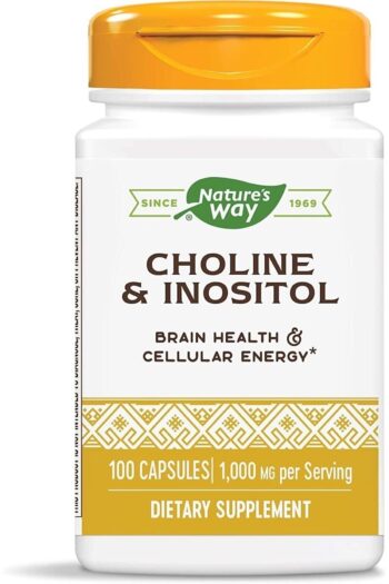 Nature's Way Choline & Inositol 500/250 Mg, Kolin Relax Mood Neurotransmitter Brain Health Energy Zihin