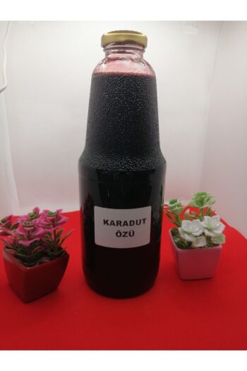 Gelin Deresi Balıkesir Havran Karadut Özü Şekersiz 1,5 Kg
