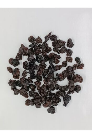 KURMEYSAN Çekirdeksiz Vişne Kurusu 100 gr