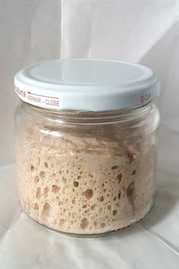 drinXir Siyez Unu Ekşi Maya -5 Yıllık - 100g Değirmenden