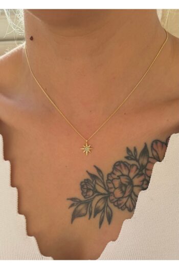 takıtarzım Zircon taşlı kuzey yıldızı minimal gold kalp kolye