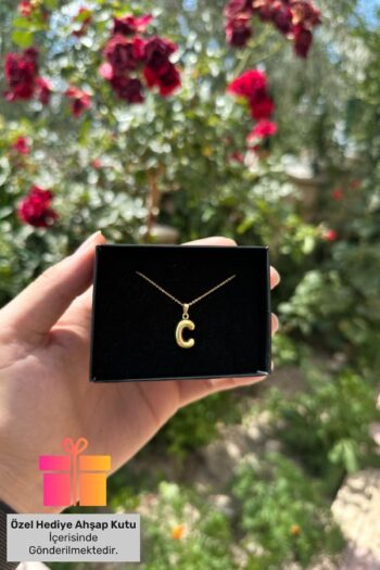 Lucente Jewellery Hediye Kutulu Gümüş Zincirli 3 Boyutlu Harf Kolye İsim Baş Harfli Altın Kaplama C Harfi Kolyesi