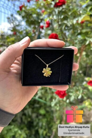 Lucente Jewellery Hediye Kutulu Yonca Şans Kolyesi Altın Kaplama 925 Ayar Gümüş Zincirli Kolye