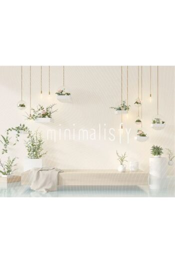 Minimalisfy Modern Bitki Aranjmanı ile Aydınlık Bir Arka Plan, 200x150cm, Stüdyo Fonu