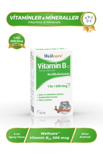 Wellcare Vitamin B12 Sprey 500 Mcg