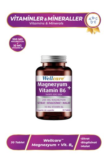 Wellcare Magnezyum Vitamin B6 - 30 Tablet