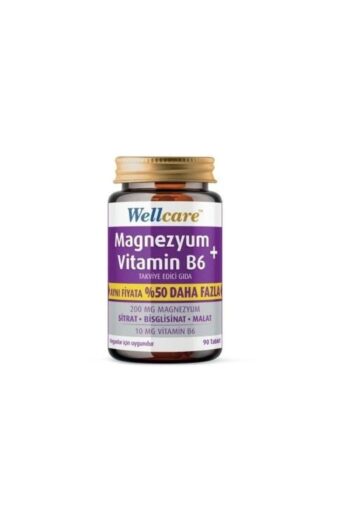 Wellcare Magnezyum Vitamin B6 200/10mg 90 Tablet
