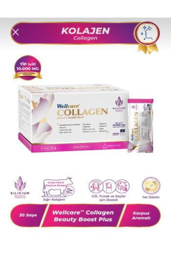 Wellcare KOLAJEN TİP1-TİP3 ŞASE