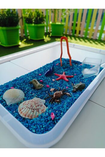 MUCİT KİDS Okyanus Hayvanları Temalı Duyusal Oyun Seti (2-5 Yaş) - Montessori Oyuncak