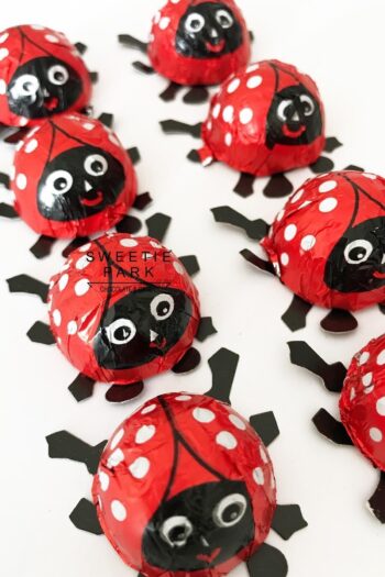 Sweetie Park Ladybird Lady Bird 10 Adet Ladybug Kırmızı Uğur Böceği Elvan Hediye Pinyata Bayram Çikolata