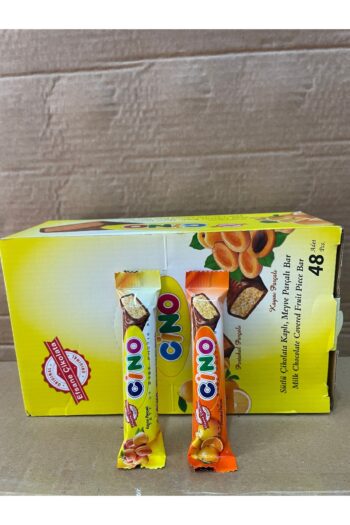 Teras Cino kayısı ve portakal karışık paket 48’li