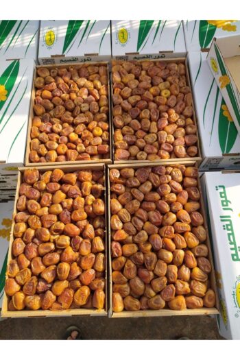 NAWADER Yaş Hurma Rütab Sukkari Alqassım 3 Kg Kutu