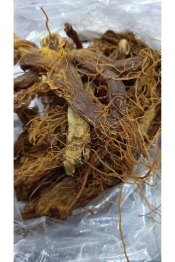 forevers 1.Kalite Kök Kırmızı Ginseng 90 Gram (Red Korean Ginseng)