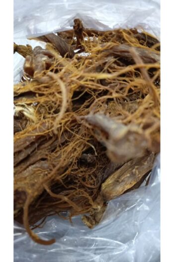 forevers 1.Kalite Kırmızı Kök Ginseng 25 Gram (Red Korean Ginseng )