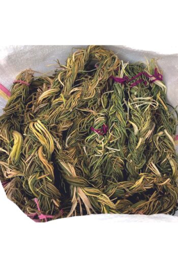 nyshediyelik Pancar Keledoş Otu [80 gr ]