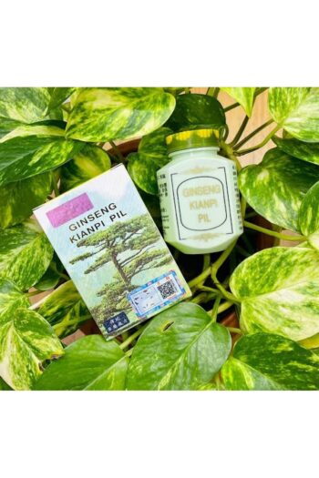 KİANİ WİSDOM Ginseng Kianpi Pil Kilo Alma İştah açıcı 60 Caps Qr Check Kod Garantili