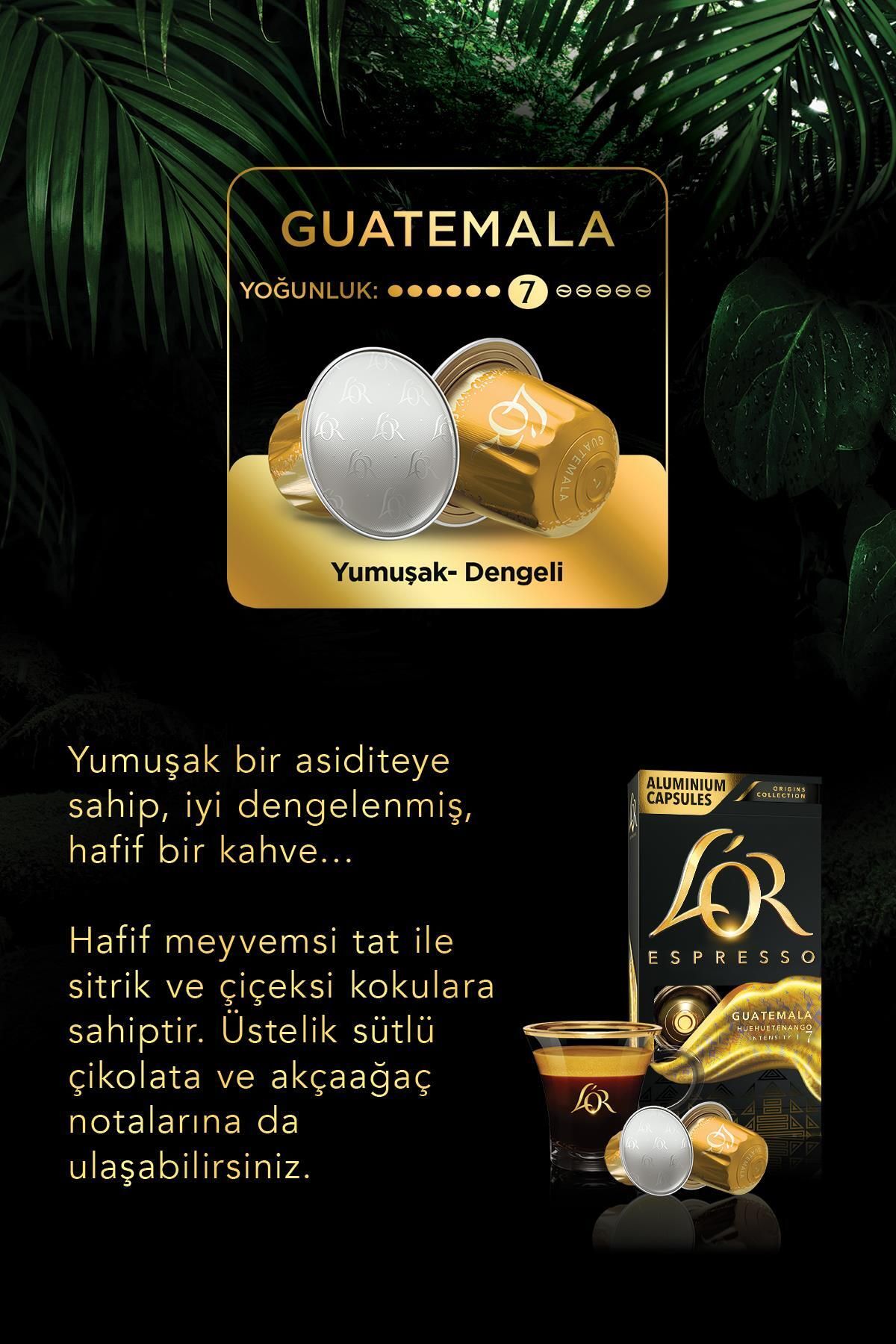 L'OR Espresso Origin Tanışma Paketi Nespresso Uyumlu Alüminyum Kapsül Kahve (10 X 3 PAKET) - Görsel 2