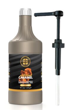 By Tüfekçi Karamel Aromalı Profesyonel Bar Sos Kahve Pasta Ve Tatlılar Için Pompa Hediyeli 2500 gr