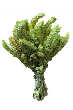 SELNUS Adaçayı Demet ( Akdeniz Tipi ) Ada Çayı Salvia