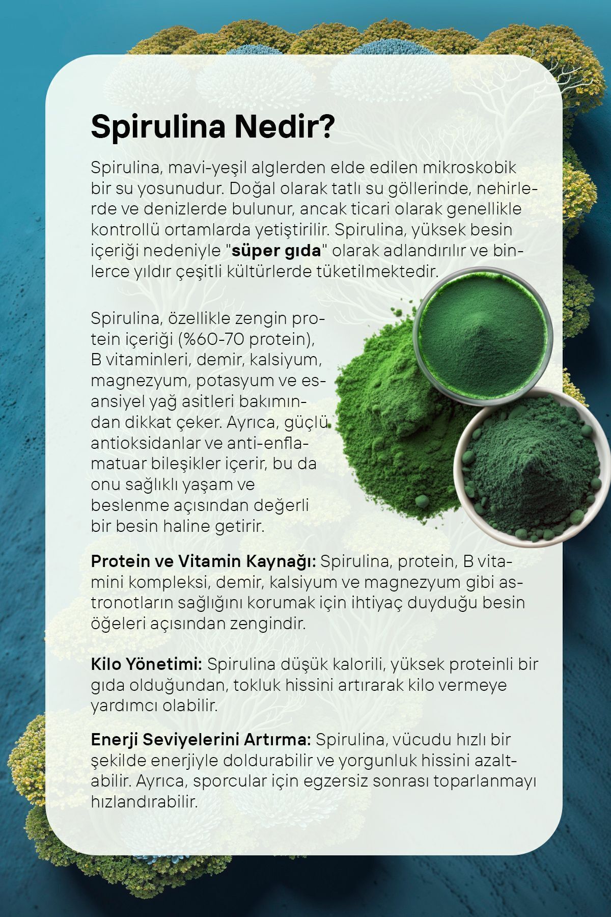 AHİ SULTAN Form Kahvesi 8 Farklı Kahve Ve Spirulina Içerikli 100 G - Görsel 3