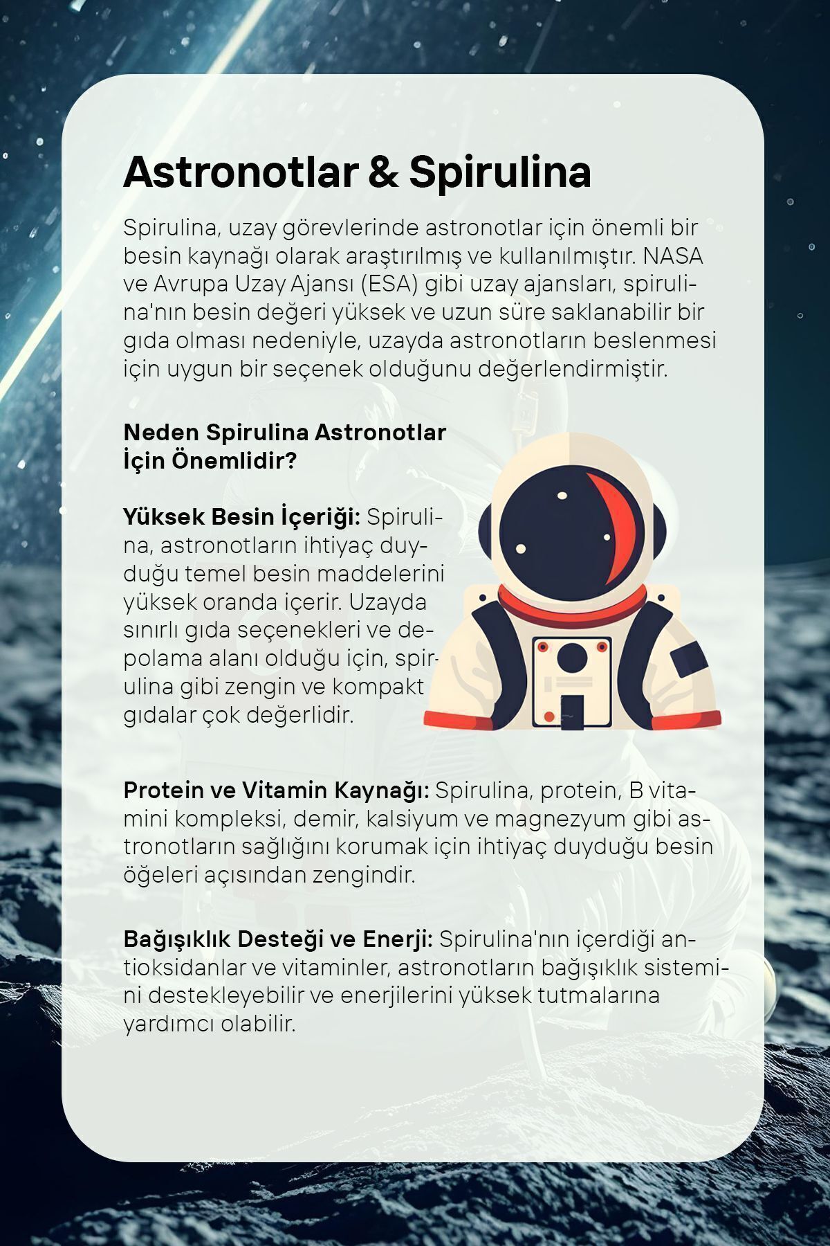 AHİ SULTAN Form Kahvesi 8 Farklı Kahve Ve Spirulina Içerikli 100 G - Görsel 4