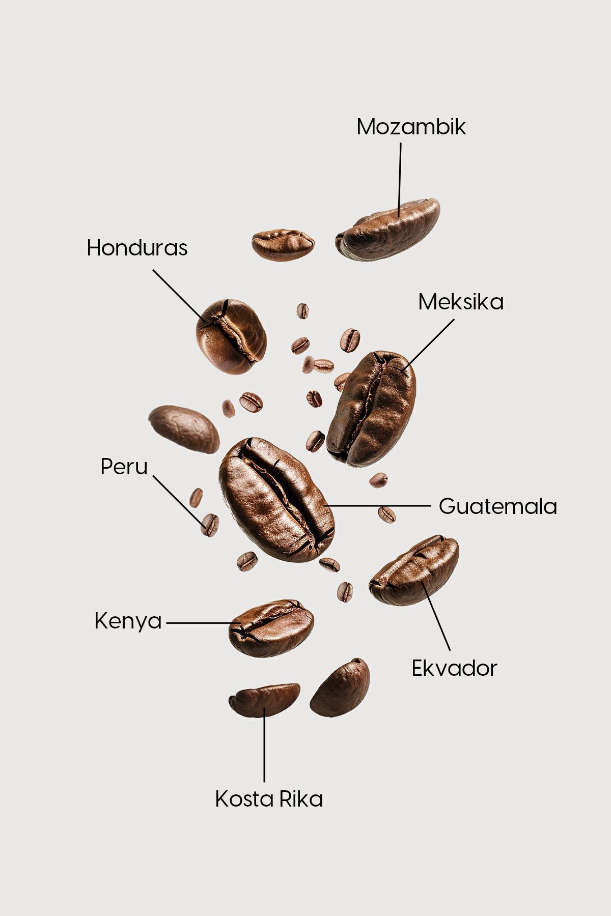 AHİ SULTAN Form Kahvesi 8 Farklı Kahve Ve Spirulina Içerikli 100 G - Görsel 5