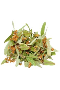LokmanAVM Doğal Ihlamur Çiçeği Bitki Çayı Saf Ihlamur Çiçek Yaprak 30gr