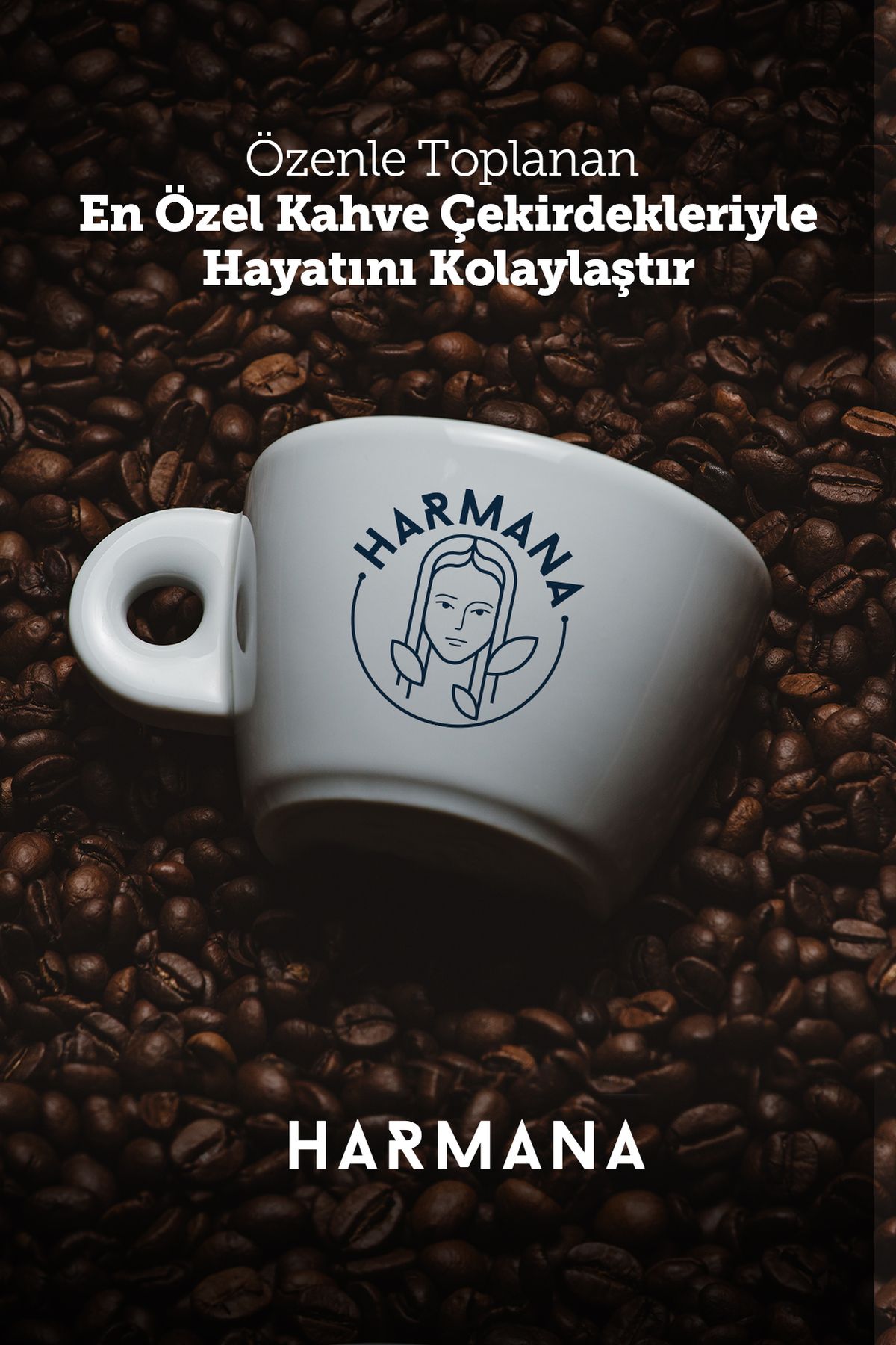 HARMANA 2 Adet Hindiba Kahvesi 2x 150 gr - Görsel 3
