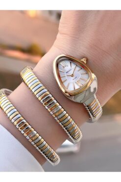 Ferrucci Yılan Dolamalı Çelik Kordon 2 Yıl Garantili 3 Atm Suya Dayanıklı Kadın Kol Saati C.03442.2