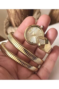 Ferrucci Yılan Sarmalı 5 Renk Seçenekli Çelik Kadın Kol Saati