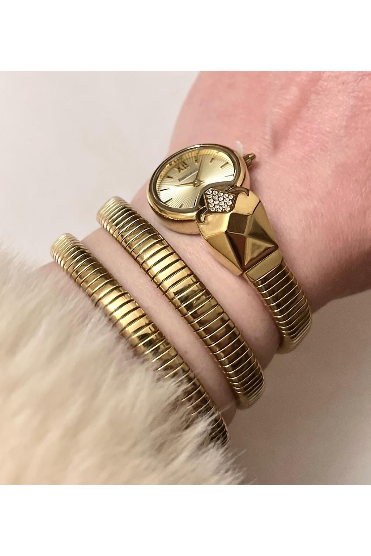 Ferrucci Yılan Sarmalı 5 Renk Seçenekli Çelik Kadın Kol Saati - Görsel 2