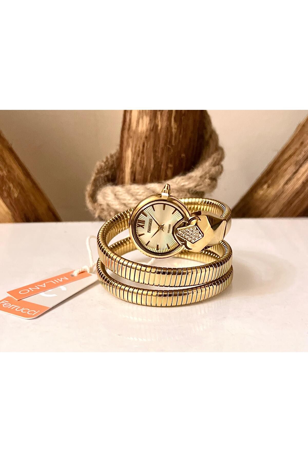 Ferrucci Yılan Sarmalı 5 Renk Seçenekli Çelik Kadın Kol Saati - Görsel 3