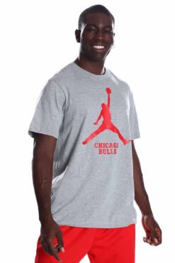 Nike Chicago Bulls NBA Erkek Gri Basketbol T-Shirt
