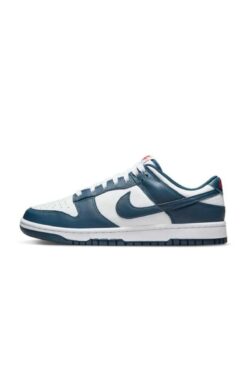 Nike Dunk Low Retro Erkek Sneaker Ayakkabı Dd1391-400