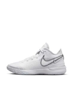 Nike Zoom Lebron Nxxt Gen Çok Renkli Unisex Basketbol Ayakkabısı - DR8784-101
