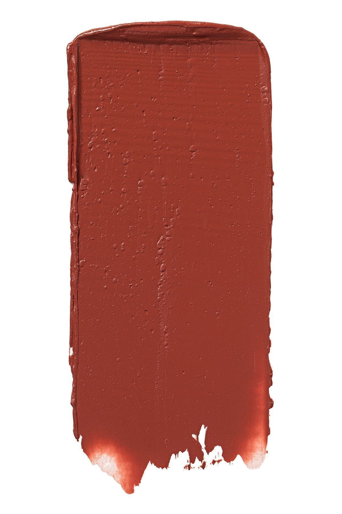 Flormar Yarı Parlak Stick Ruj- Creamy Stylo Lipstick -006 Chestnut- 8682536013666 - Görsel 2