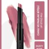 Farmasi Lip Stylo Ruj Dusty Rose