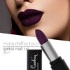 Pierre Cardin Matte Chiffon Touch Lipstick -plum -195