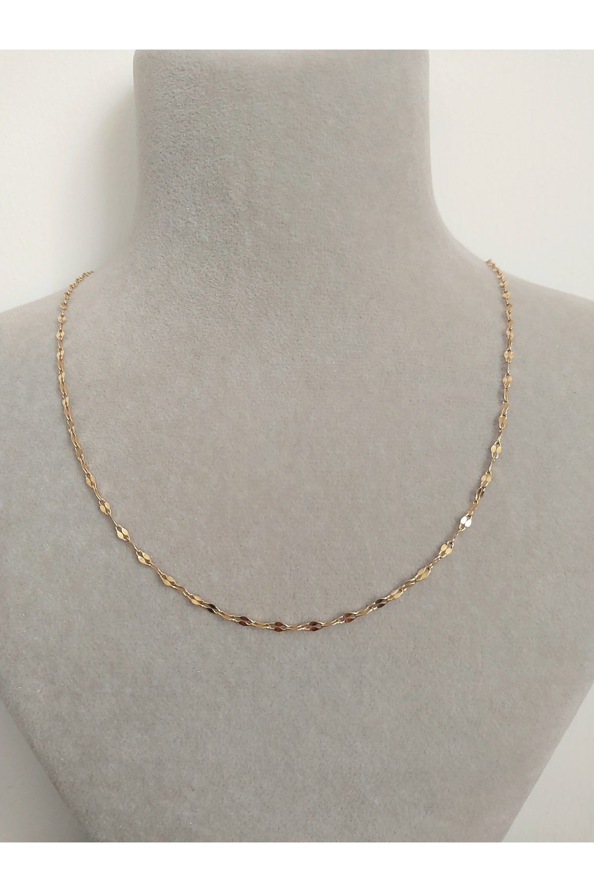 Alexis Carrel Stainles Steel Dudak Zincir Kolye Çelik Singapur Model Zincir Kolye