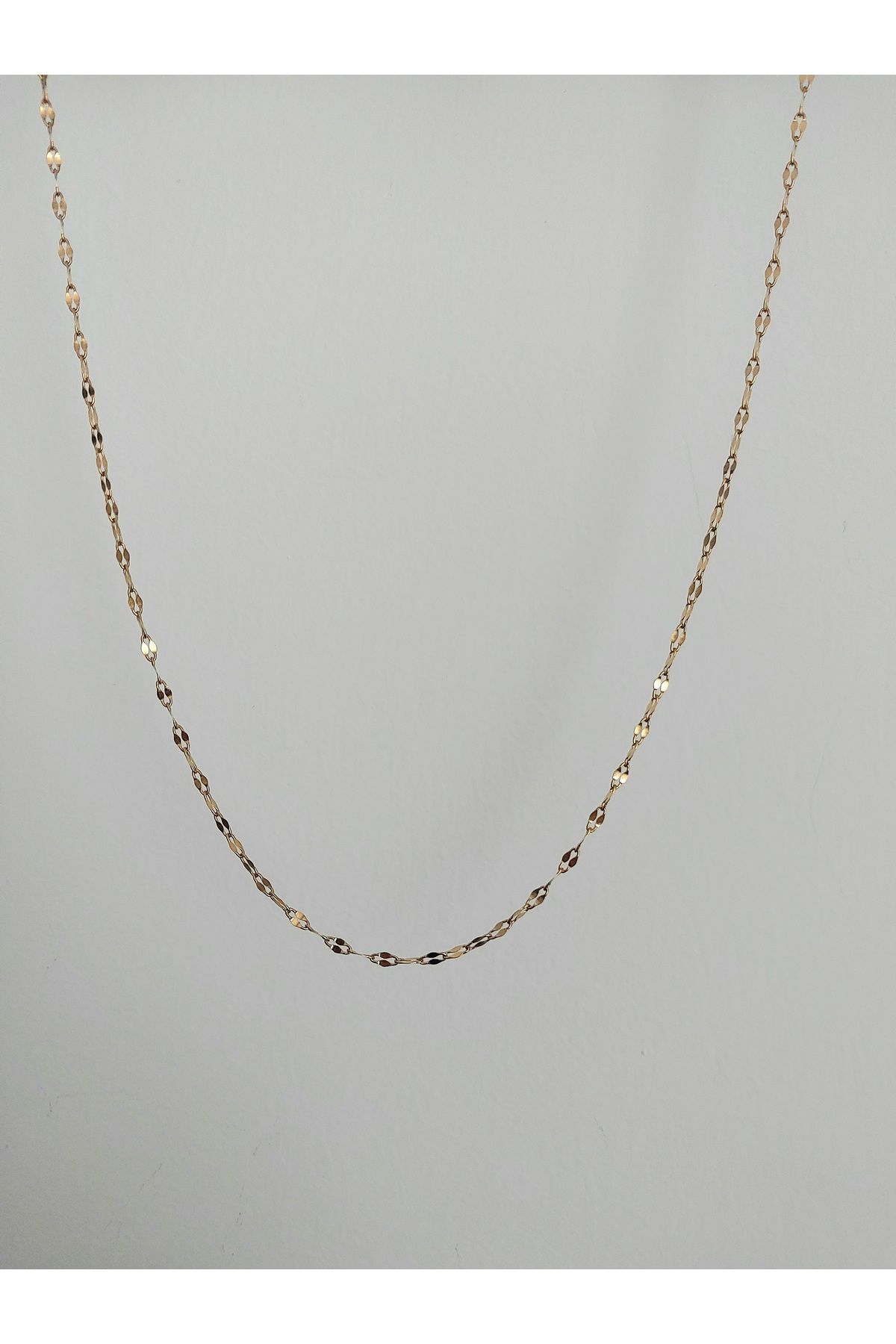 Alexis Carrel Stainles Steel Dudak Zincir Kolye Çelik Singapur Model Zincir Kolye - Görsel 2