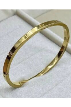 JANRA WORLD Paslanmaz Çelik Kelepçe Bileklik Gold & Gümüş Renk, Taşlı ve Taşsız İnce Model