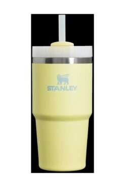 Stanley The Quencher H2.O FlowState™ Tumbler 0.6L / 20oz