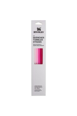 Stanley Quencher Orijinal 1,18 Litre Termos Bardak Pipeti 4 Adet