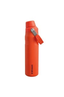 Stanley The Aerolight IceFlow Soğuk Su Termosu 0,60 Lt (20 OZ) - Tigerlily