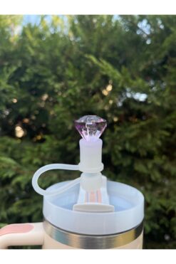 Stanley Termos Uyumlu Taşlı Aksesuar/ Taşlı Pipet Koruyucu/Patlak Taş Pipet Kılıfı/ Pipet Tıpası